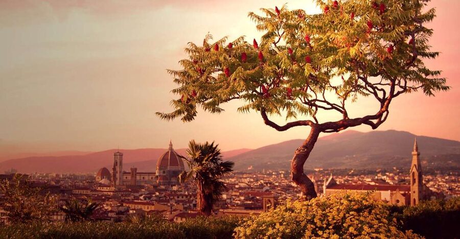 From Rome: Day Trip to Florence by High-Speed Train - The 100-minute high-speed train ride