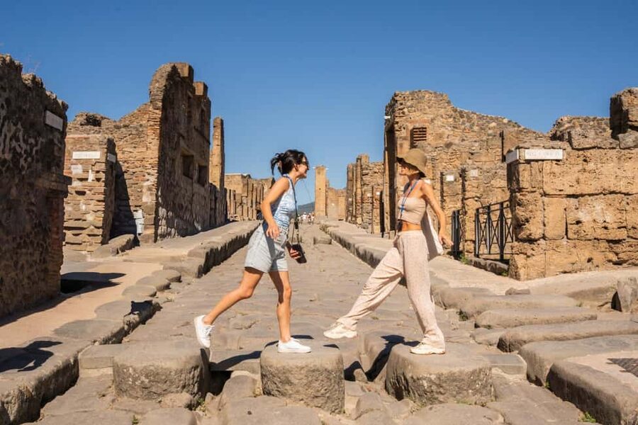 From Rome: Luxury Van Day Trip to Pompeii & Sorrento Lunch - The minivan ride south from Rome