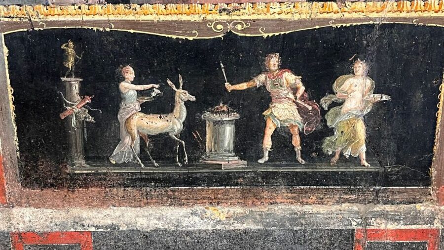 From Rome: Pompeii and Naples Day Trip by High-Speed Train - Posillipo and the Bay of Naples