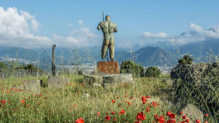 From Rome: Pompeii and Naples Day Trip by High-Speed Train - The return to Rome
