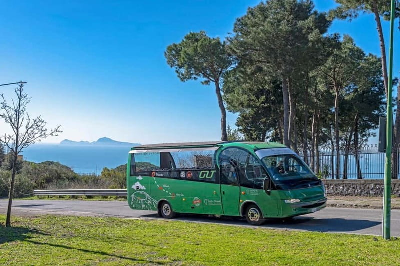 From Rome: Pompeii and Vesuvio Guided Day Trip with Lunch - Why this Rome day trip works