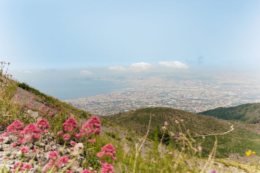 From Rome: Pompeii Day Trip with Optional Vesuvius and Lunch - How the transportation affects the day