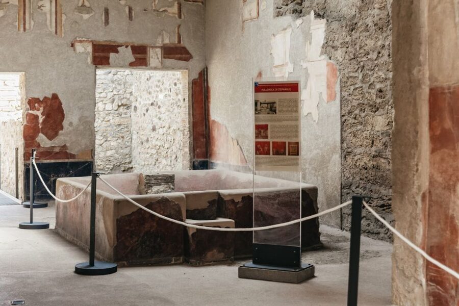 From Rome: Pompeii Day Trip with Optional Vesuvius and Lunch - Who will get the most from this tour