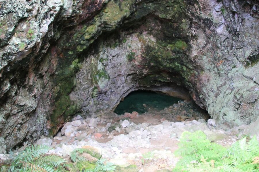 From Rotorua: Taupo Day Trip with Orakei Korako or Waiotapu - Waiotapu: colorful thermal features and Lady Knox