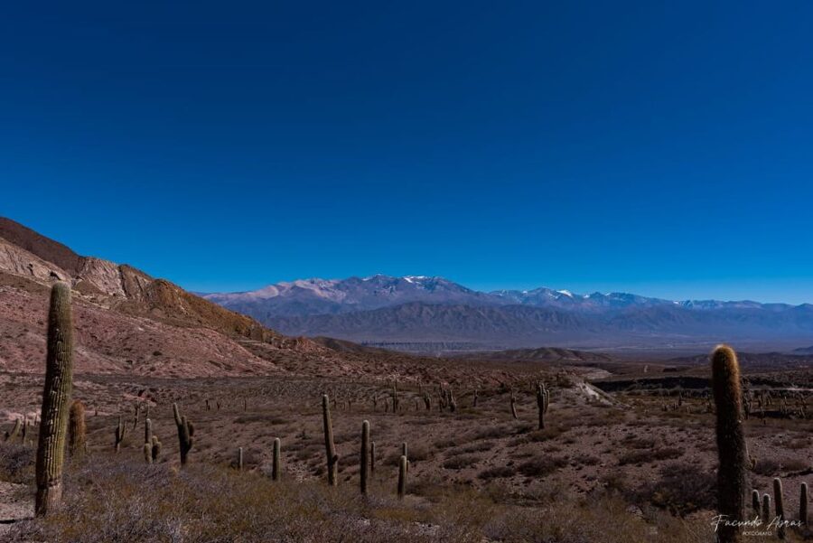 From Salta: 4-Day Trip in Salta Province & Salinas Grandes - Cachi, Cuesta del Obispo, and Parque Nacional de Cardones