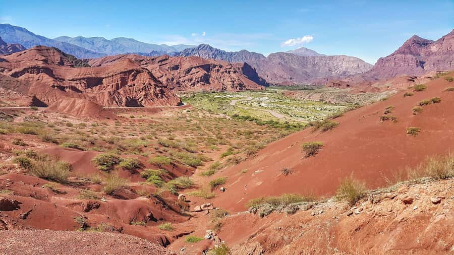 From Salta: Cafayate Day Trip with Wine Tasting - Should you book this Cafayate day trip?