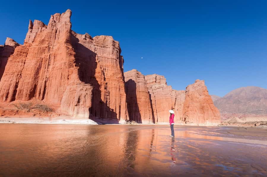 From Salta: Cafayate Day Trip with Wine Tasting - From Salta to the Lerma Valley