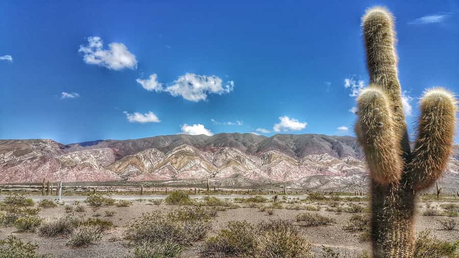 From Salta: Day Trip to Cachi and the Calchaquí Valleys - Why the road to Cachi is the real attraction
