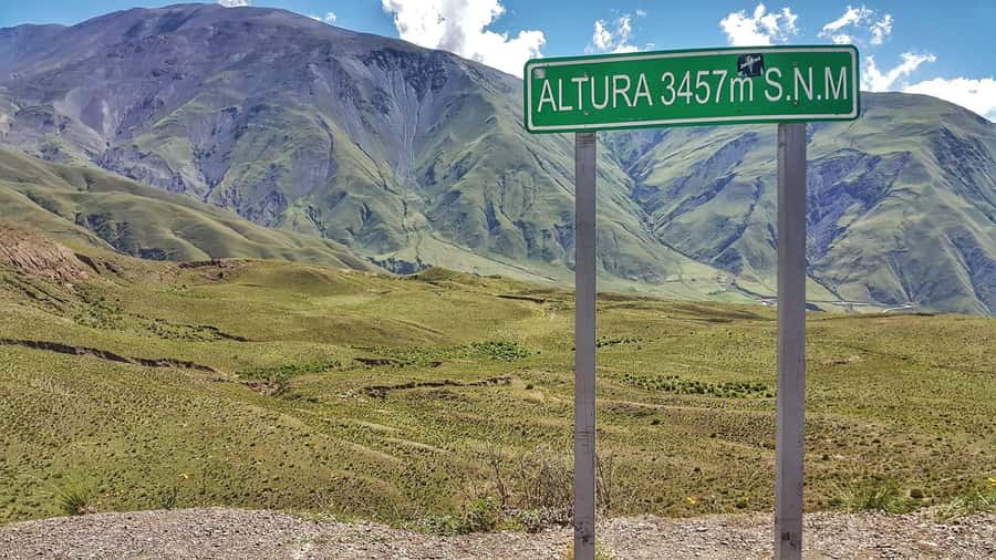 From Salta: Day Trip to Cachi and the Calchaquí Valleys - Los Cardones National Park and the Tin-Tin Straight