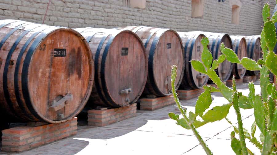 From Salta: Day Trip to Cafayate - A closer look at the transport and timing