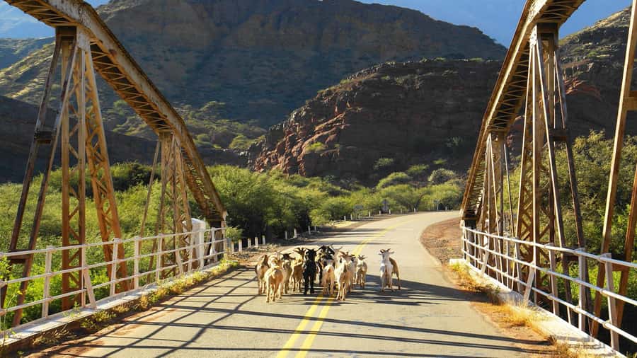 From Salta: Day Trip to Cafayate - How much value does the $41 price offer?