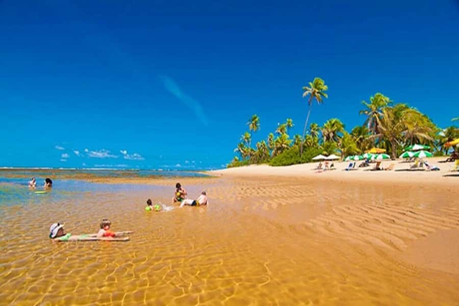 From Salvador: Praia do Forte & Guarajuba Beach Daytrip - Key points at a glance