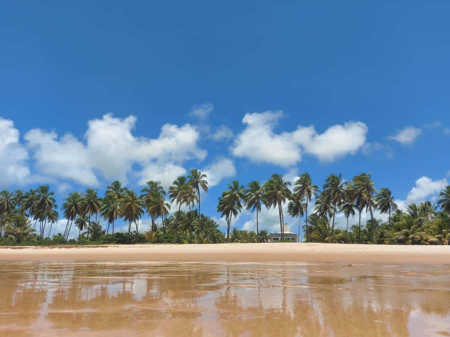 From Salvador: Praia do Forte & Guarajuba Beach Daytrip - Guarajuba for swimming and lunch