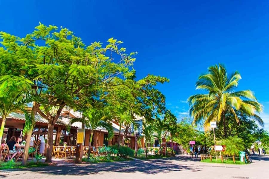 From Salvador: Praia do Forte & Guarajuba Beach Daytrip - What the $160 price really covers