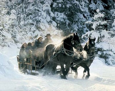 From Salzburg: Ramsau Day Trip with 1-hour Carriage Ride - The long road from Salzburg to Ramsau