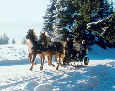 From Salzburg: Ramsau Day Trip with 1-hour Carriage Ride - Lunch and free time in Ramsau