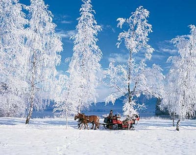 From Salzburg: Ramsau Day Trip with 1-hour Carriage Ride - The horse-drawn ride under warm blankets