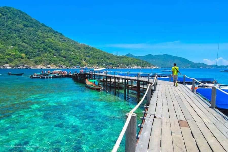 From Samui: Ko Tao and Koh Nang Yuan Speedboat Day Trip - The speedboat ride: efficient but not gentle