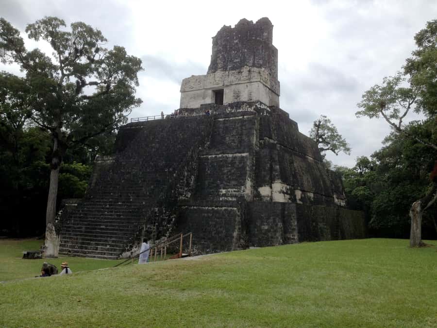 From San Ignacio: Tikal Maya Site Day-Trip with Local Lunch - Who should book this Tikal day trip?
