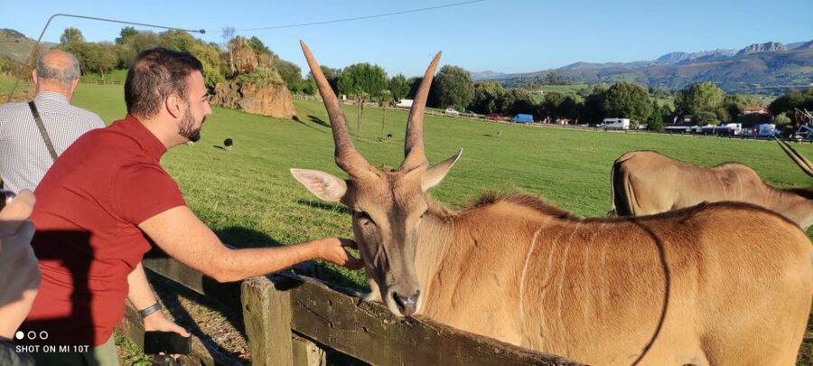 From Santander: Cabarceno Natural Park Half-Day Trip - Why Cabárceno feels different from a normal zoo