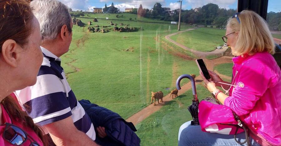 From Santander: Cabarceno Natural Park Half-Day Trip - Four hours among animals from five continents