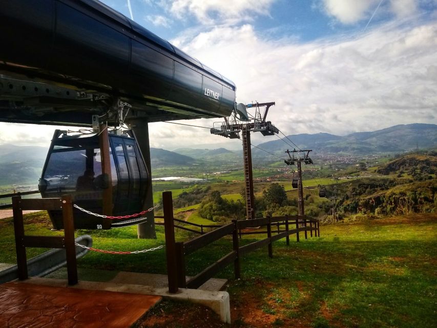 From Santander: Cabarceno Natural Park Half-Day Trip - Raptor demonstrations and the seasonal catch