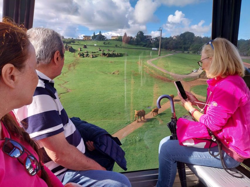 From Santander: Cabarceno Natural Park Half-Day Trip - The 30-minute ride from Santander