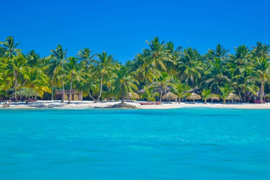 From Santo Domingo: Saona Island Day Trip w/ Lunch & Drinks - What the $95 price really covers