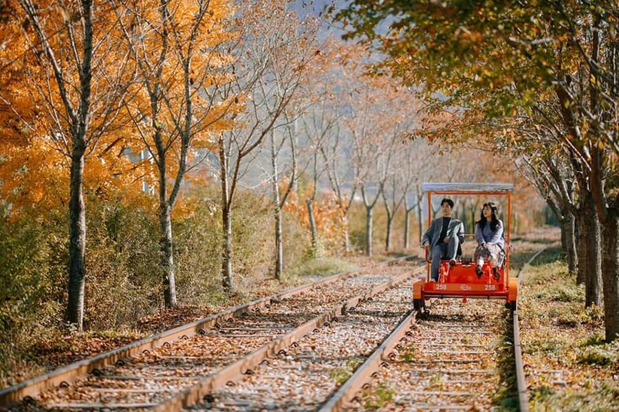 From Seoul: Nami Island, K-drama Garden & Rail Bike Day Tour - Nami Island and the K-drama connection