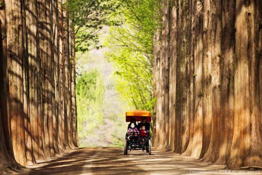 From Seoul: Nami Island, K-drama Garden & Rail Bike Day Tour - Lunch is practical, not part of the package