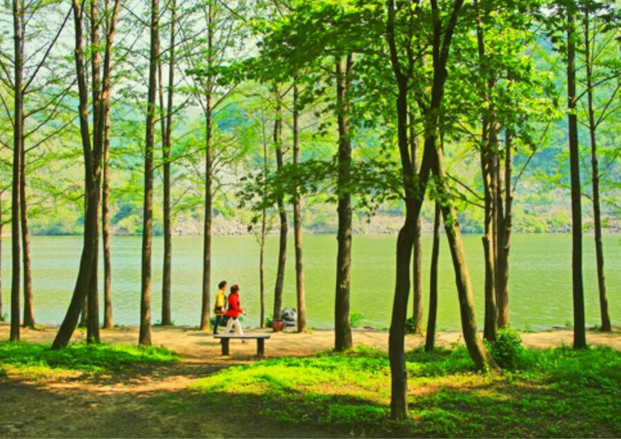 From Seoul: Nami Island, K-drama Garden & Rail Bike Day Tour - Gangchon Rail Bike along the Bukhan River