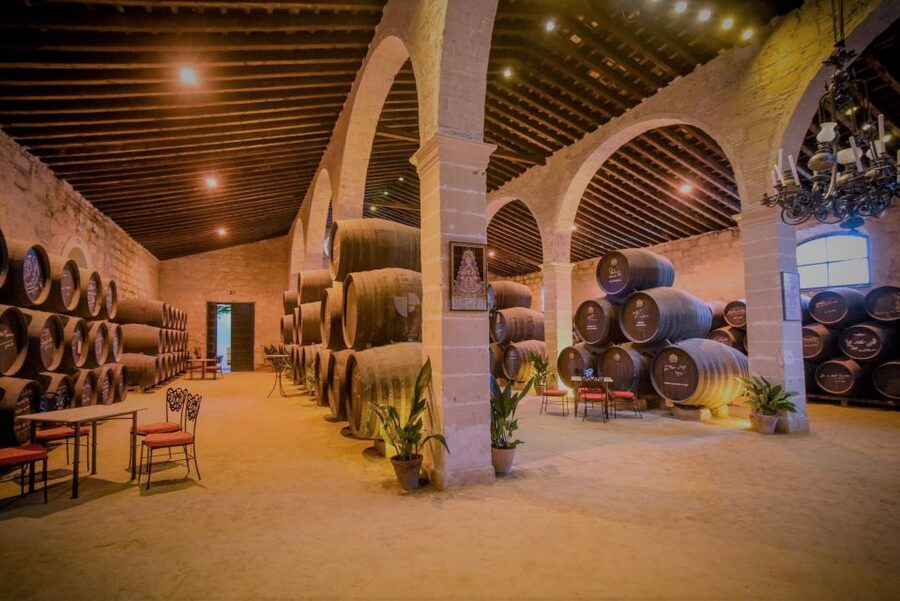 From Seville: Cadiz and Jerez de la Frontera Day Trip - Guides, group style, and language options