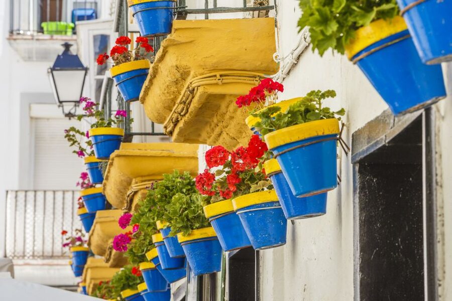 From Seville: Cadiz and Jerez de la Frontera Day Trip - Arriving in Cádiz for lunch and free time