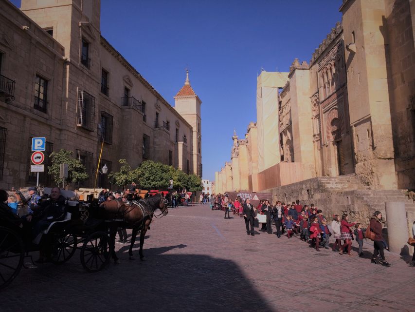 From Seville: Cordoba, the Mosque and Carmona Day Trip - Who should book this day trip?