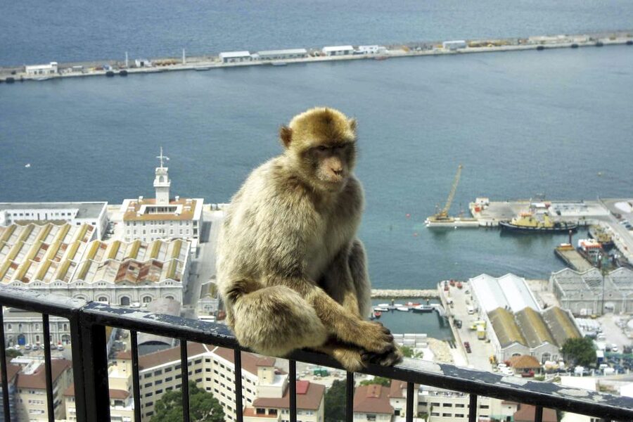 From Seville: Day Trip to Gibraltar - Crossing into Gibraltar on foot