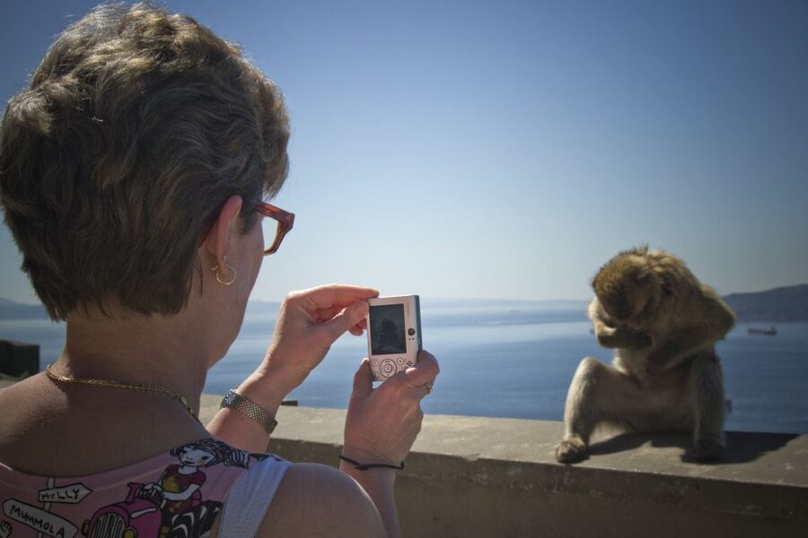 From Seville: Day Trip to Gibraltar - St. Michael’s Cave and its limestone formations