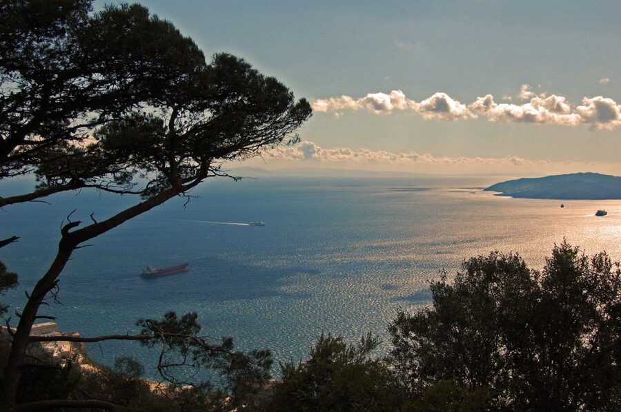From Seville: Full-Day Trip to Gibraltar - The long road from Seville to Gibraltar