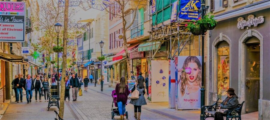 From Seville: Full-Day Trip to Gibraltar - Meeting Gibraltar’s macaques