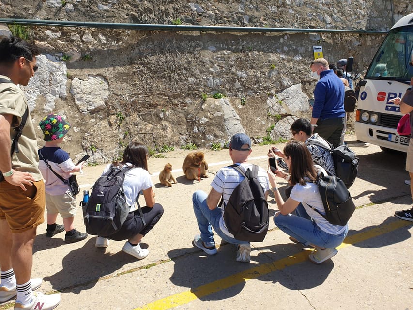 From Seville: Full-Day Trip to Gibraltar - Is $152 a fair price?