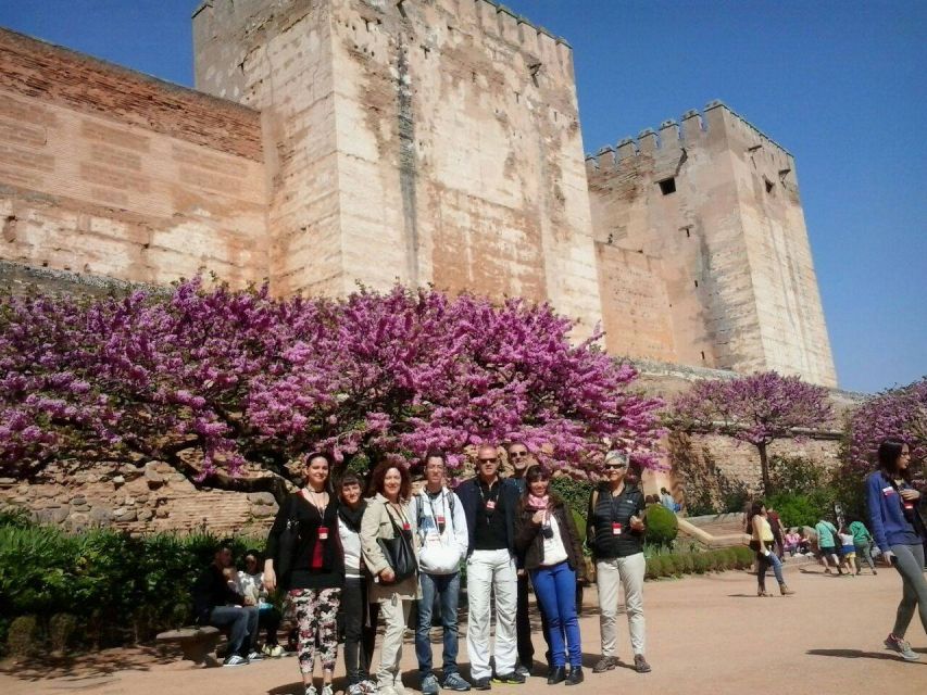 From Seville: Granada Day Trip with Alhambra and Albaicín - Why a guide makes a difference here
