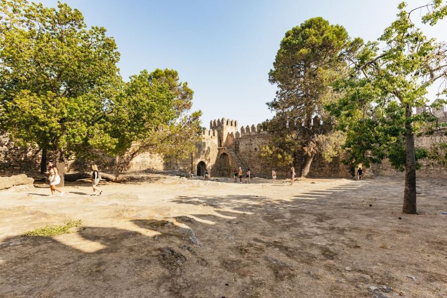 From Seville: Pueblos Blancos and Ronda Full-Day Trip - Molino El Vínculo and the taste of Andalusian olive oil