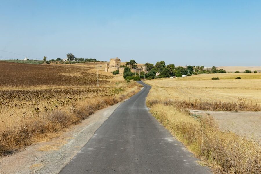 From Seville: Pueblos Blancos and Ronda Full-Day Trip - Ronda and the New Bridge