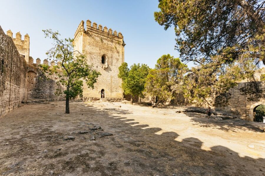 From Seville: Pueblos Blancos and Ronda Full-Day Trip - Who will get the most from this trip