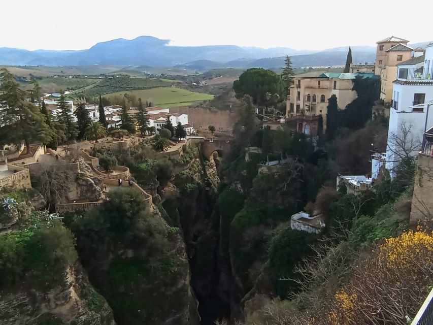 From Seville: Ronda+Setenil de las Bodegas Day Trip - Key points to know before you book