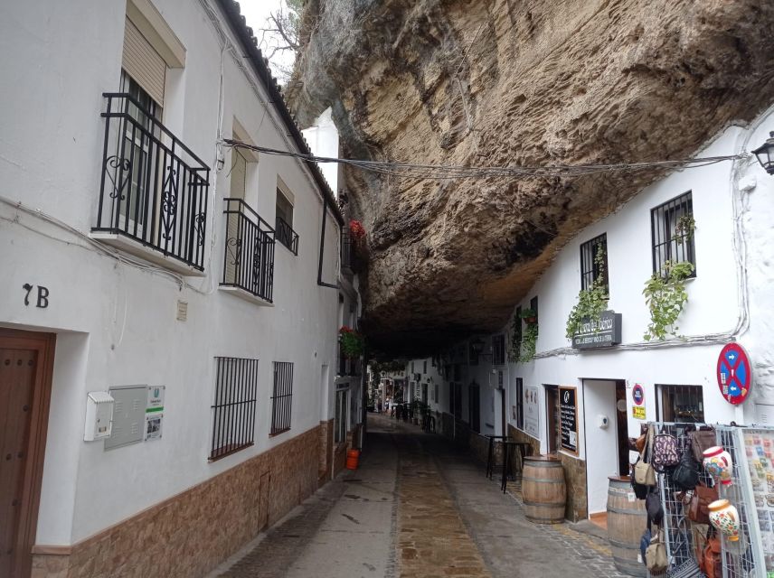 From Seville: Ronda+Setenil de las Bodegas Day Trip - Who will enjoy this most