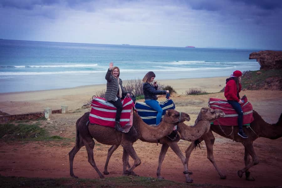 From Seville: Tangier Day Trip with Local Guide and Lunch - Why this Tangier day trip works