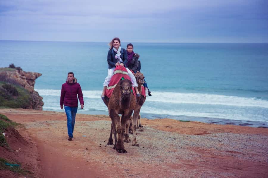 From Seville: Tangier Day Trip with Local Guide and Lunch - The optional camel ride