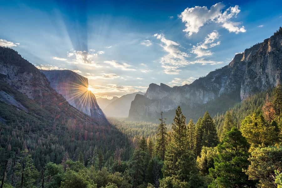 From SF: Yosemite Day Trip with Giant Sequoias Hike & Pickup - El Capitan is more than a photo stop
