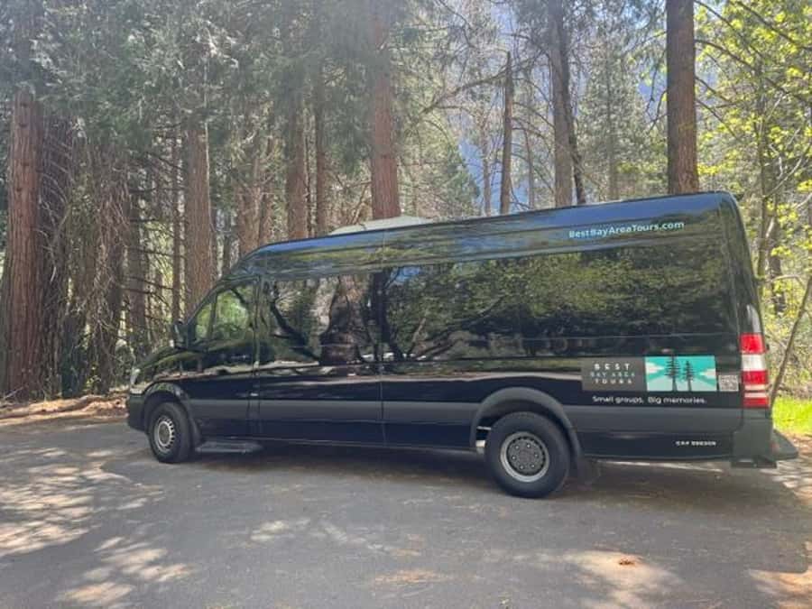 From SF: Yosemite Day Trip with Giant Sequoias Hike & Pickup - The Tuolumne Grove sequoia hike
