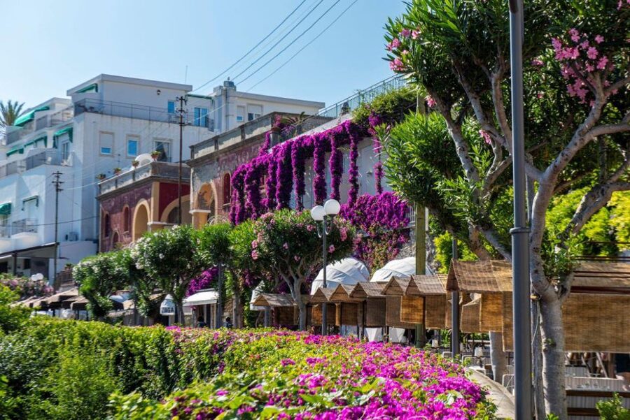 From Sorrento: Capri, Anacapri, & Blue Grotto Full-Day Trip - How the guides shape the day